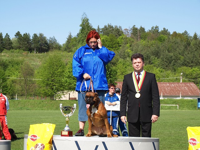 www.atibox.net * www.euroboxer.eu * www.boxergenealogia.eu